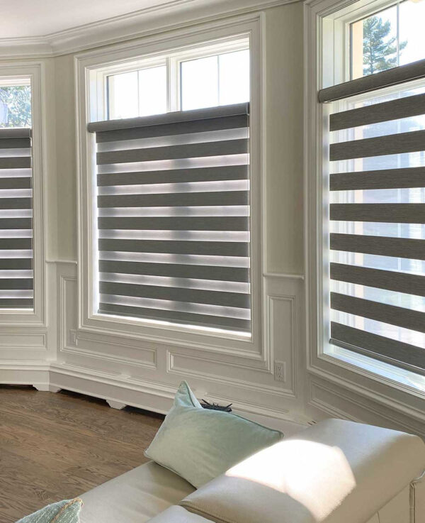 Zebra Shades - Image 13