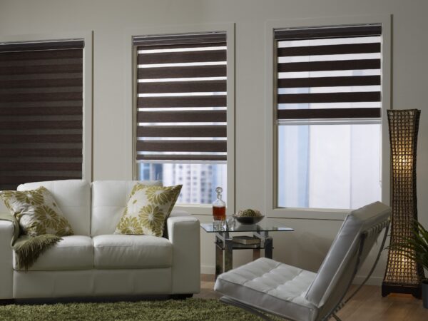 Zebra Shades - Image 2